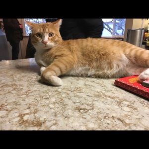 Meet your Posher, Brenda